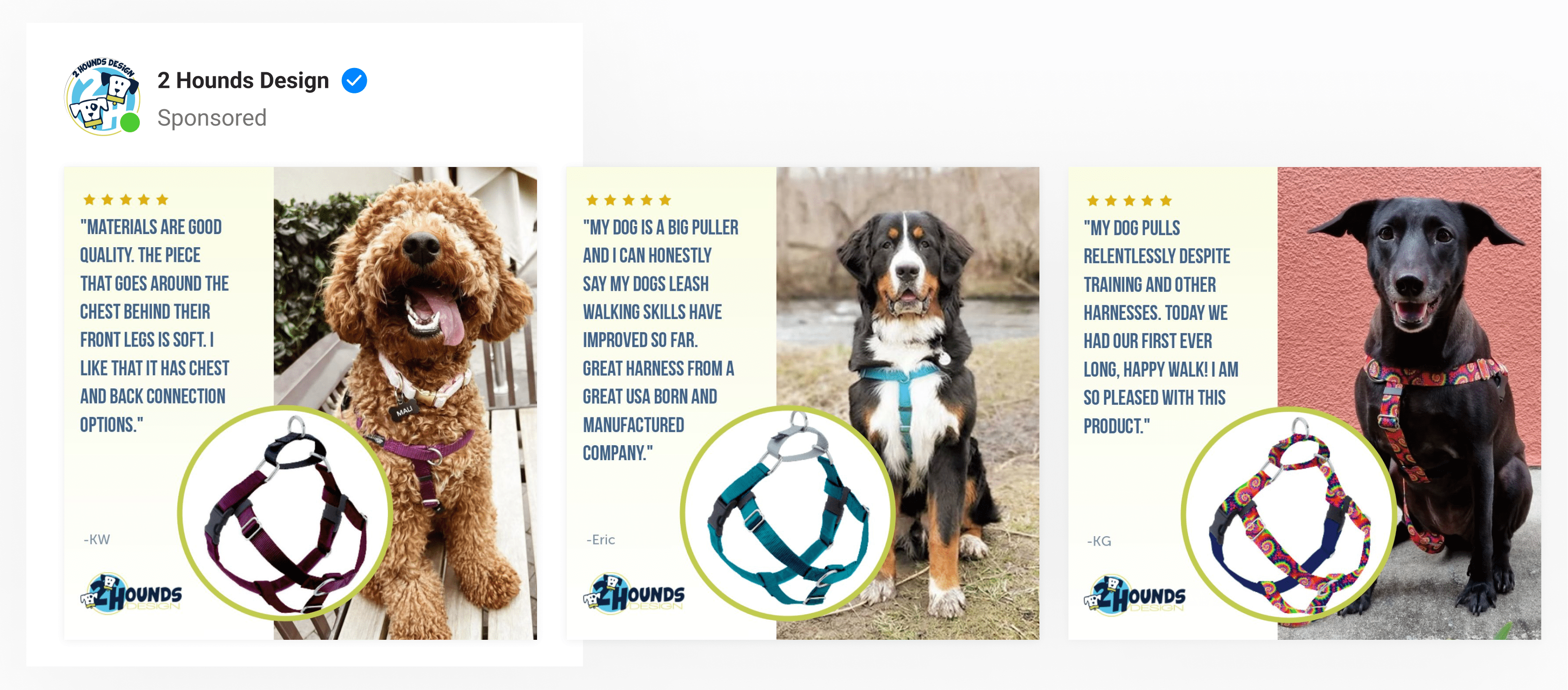 A 2-image green-colored template by pet accessories brand a cute dog wearing a harness & product image. Includes customer reviews.