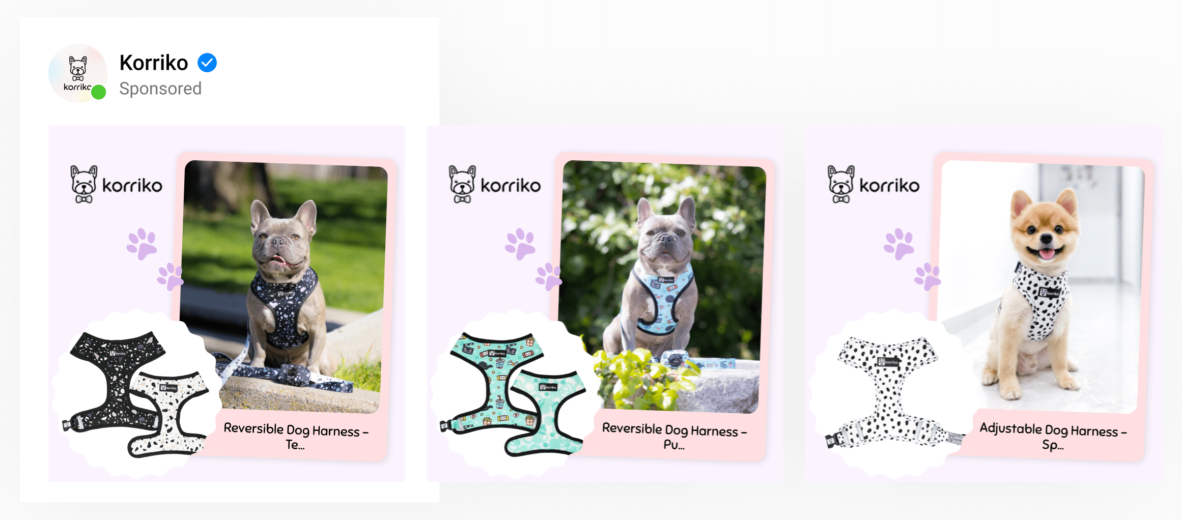 A 2-image template with a polaroid-style photo of a dog wearing a harness and a smaller product image of the harness.
