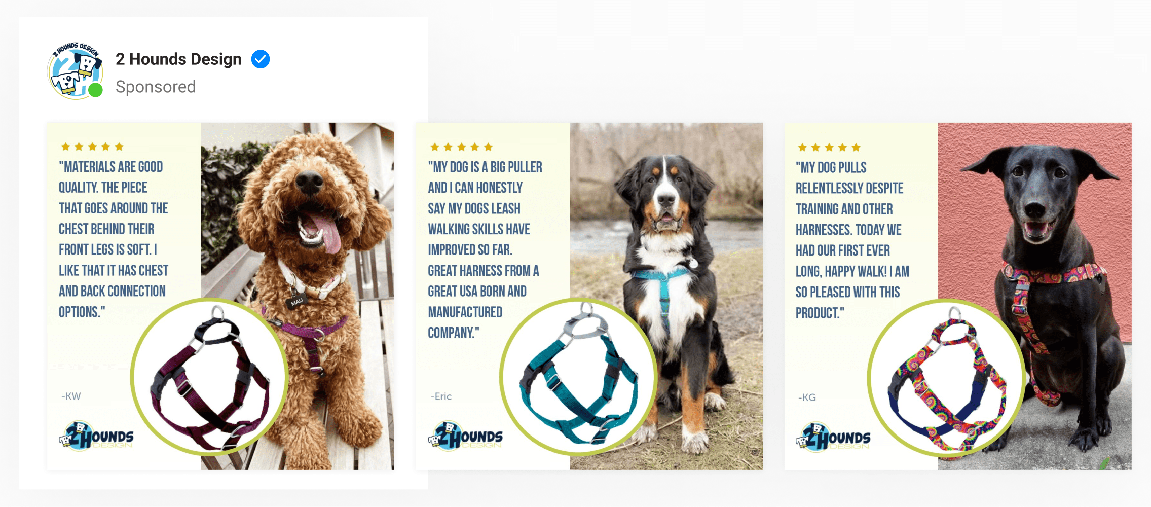 A 2-image green-colored template by pet brand with a cute dog wearing a harness & product image. Includes customer reviews.